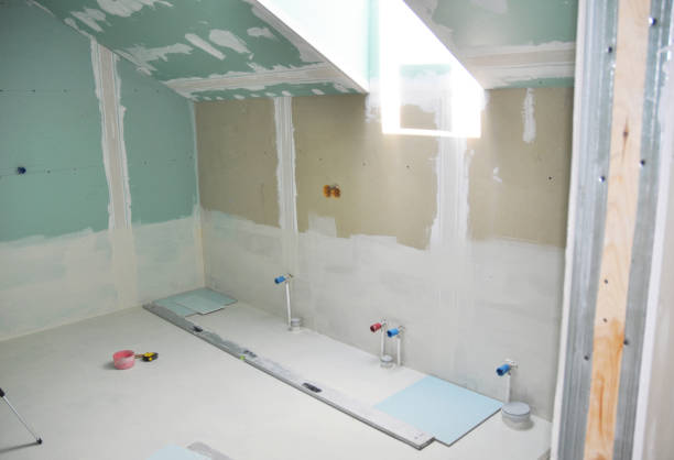Mold Documentation for Insurance Claims in Lakeview, MI