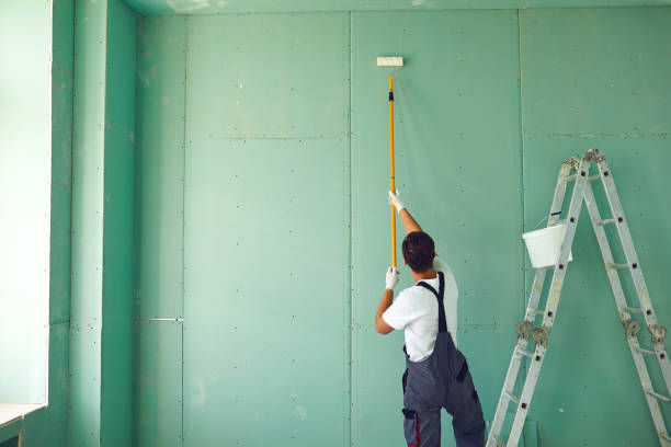 Best Environmental Consulting for Mold Prevention  in Lakeview, MI