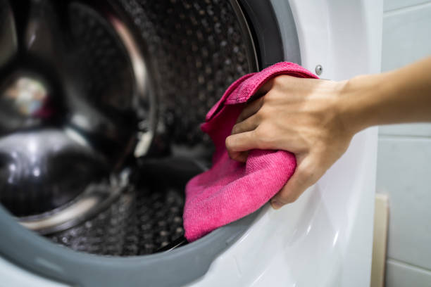 Mold Odor Removal Services in Lakeview, MI