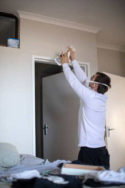 Best Water Damage & Mold Remediation  in Lakeview, MI