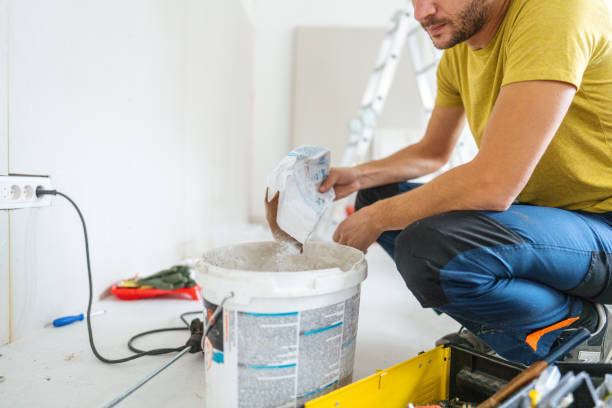 Best Mold Prevention Services  in Lakeview, MI