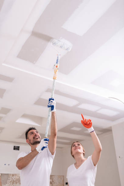 Best Biohazard Mold Removal  in Lakeview, MI