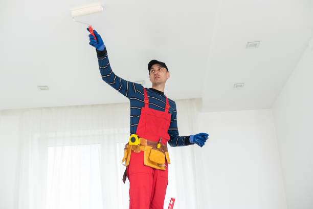 Best Attic Mold Removal  in Lakeview, MI