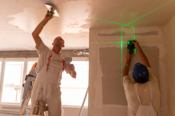 Best Industrial Mold Remediation  in Lakeview, MI